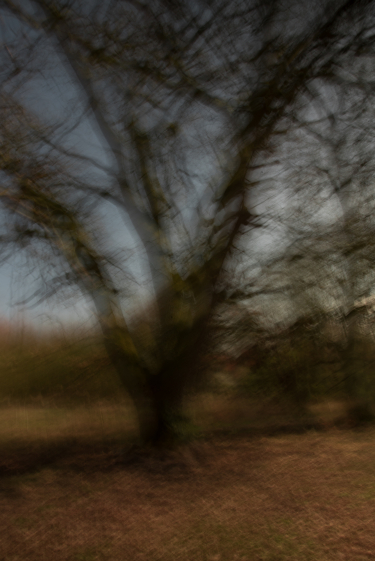Eiche